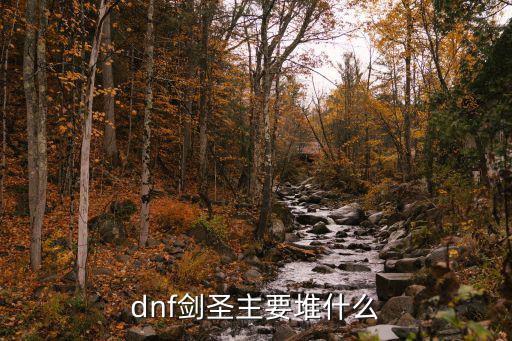 dnf剑圣武器选什么属性，DNF剑圣武器加什么属性最好