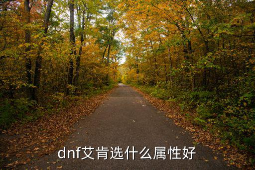 dnf艾肯选什么属性好