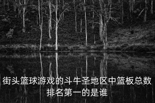 街头篮球游戏的斗牛圣地区中篮板总数排名第一的是谁