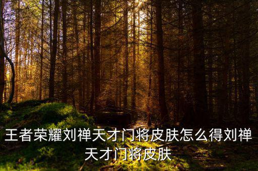 王者荣耀刘禅天才门将皮肤怎么得刘禅天才门将皮肤