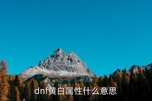 dnf黄白属性什么意思