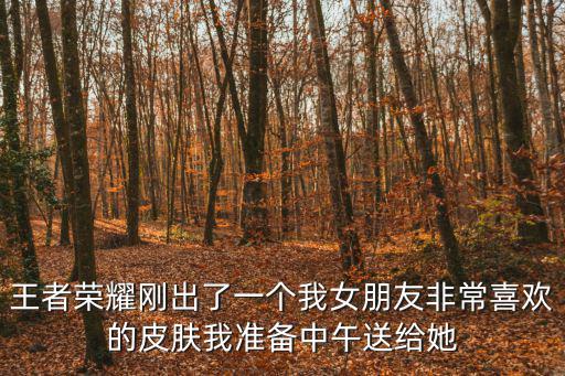 王者荣耀要了新皮肤怎么办，王者荣耀刚出了一个我女朋友非常喜欢的皮肤我准备中午送给她