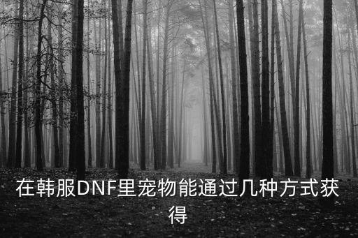 在韩服DNF里宠物能通过几种方式获得