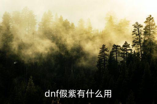 dnf假紫有什么用