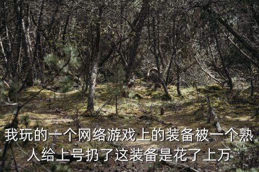 游戏装备被骗报警会怎么样，我玩的一个网络游戏上的装备被一个熟人给上号扔了这装备是花了上万
