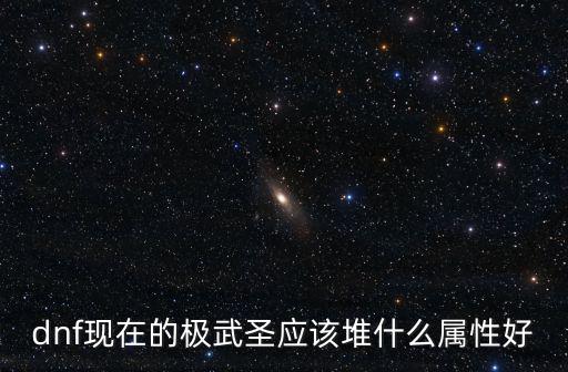 dnf现在的极武圣应该堆什么属性好