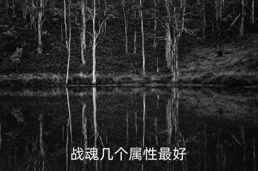战魂几个属性最好