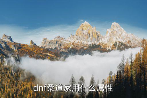 dnf柔道主什么属性好，dnf柔道家用什么属性