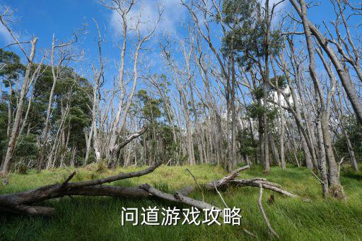 问道游戏攻略