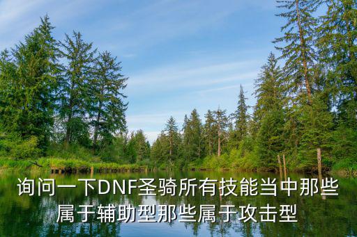 dnf女圣骑是什么属性，询问一下DNF圣骑所有技能当中那些属于辅助型那些属于攻击型