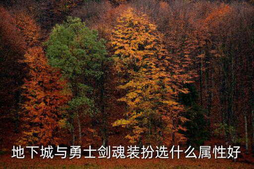 地下城与勇士剑魂装扮选什么属性好