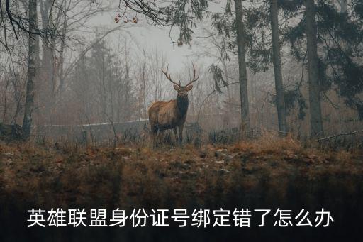 英雄联盟身份证号绑定错了怎么办