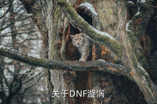 关于DNF漩涡