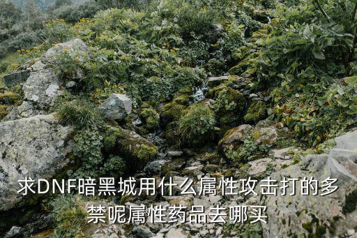 求DNF暗黑城用什么属性攻击打的多禁呢属性药品去哪买