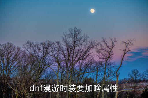 dnf90漫游要什么属性，DNF漫游最求什么属性