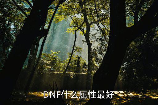 DNF什么属性最好