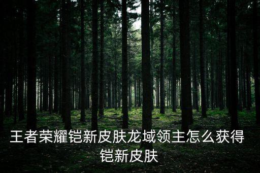 王者荣耀铠新皮肤龙域领主怎么获得 铠新皮肤