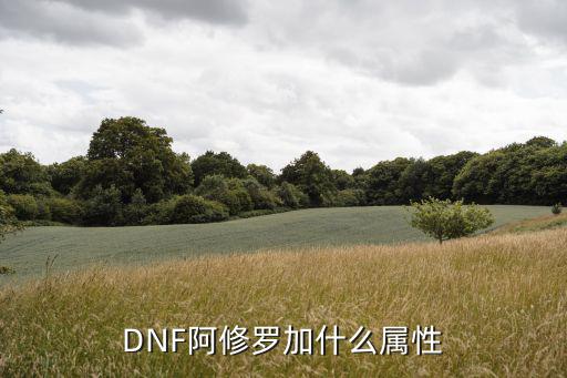 DNF阿修罗加什么属性