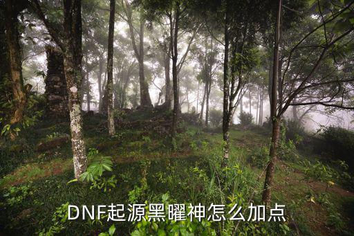 dnf黑曜神选择什么属性，DNF黑曜神装备怎么搭配