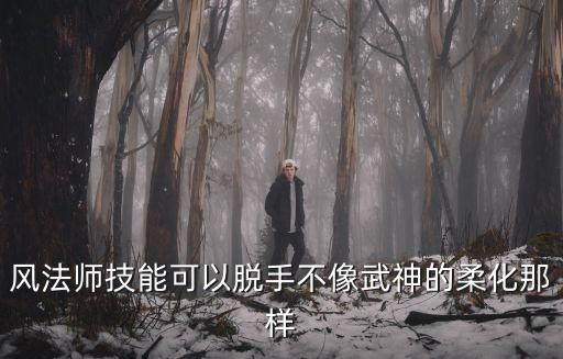 dnf风法师做什么属性，风带用什么属性好啊