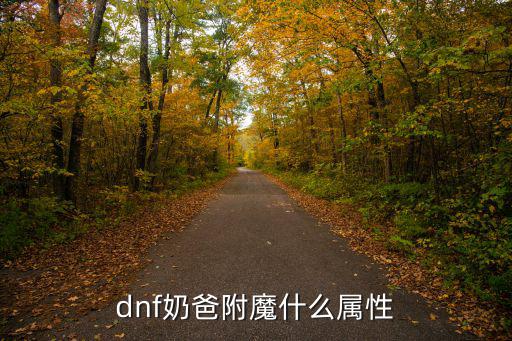 dnf奶爸附魔什么属性