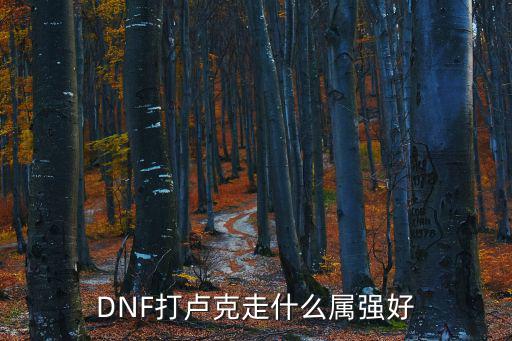 dnf乌鸡卢克什么属性好，dnf卢克走什么属强好