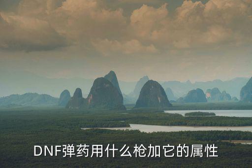 DNF弹药用什么枪加它的属性