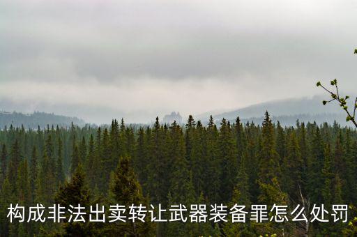 构成非法出卖转让武器装备罪怎么处罚