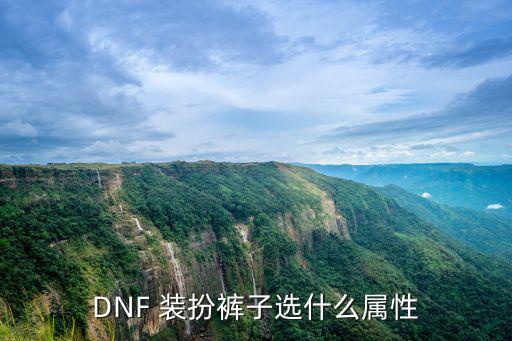 DNF 装扮裤子选什么属性