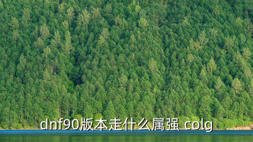 dnf90级什么属性强，dnf90版本走什么属强 colg