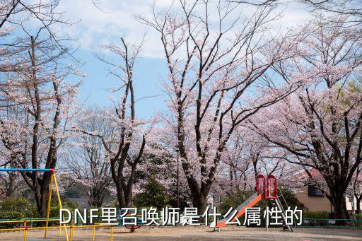 DNF里召唤师是什么属性的