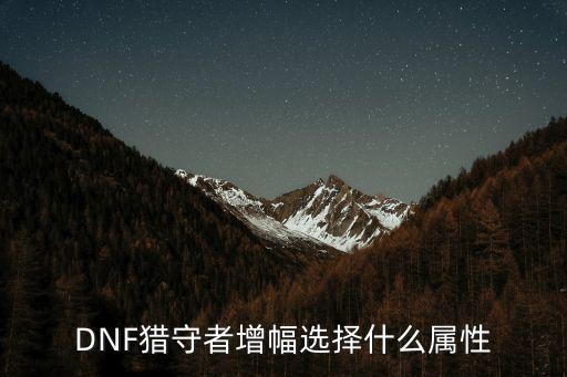 DNF猎守者增幅选择什么属性