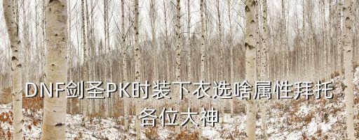 dnf剑宗下衣要什么属性，DNF时装下衣选什么属性好剑圣63级刷图