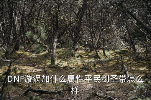 DNF漩涡加什么属性平民剑圣带怎么样