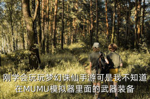 刚学会玩玩梦幻诛仙手游可是我不知道在MUMU模拟器里面的武器装备