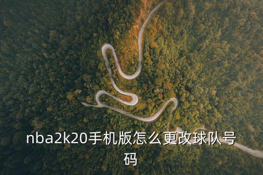 2k20手游生涯怎么改球员数据，谁知道NBA2KOL自建球员隐藏数据发给我谢谢