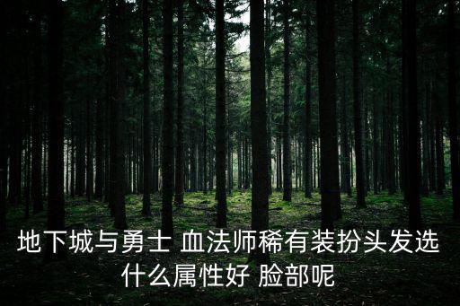 地下城与勇士 血法师稀有装扮头发选什么属性好 脸部呢