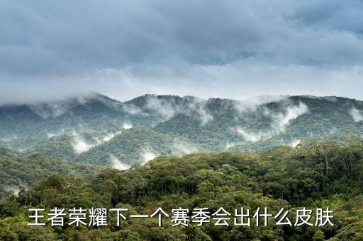 王者荣耀下一个赛季会出什么皮肤