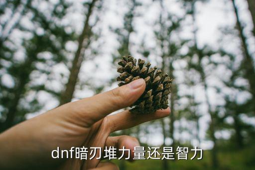 dnf暗刃堆力量还是智力