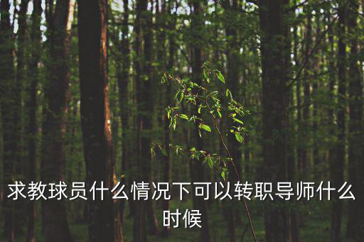 求教球员什么情况下可以转职导师什么时候