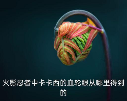 火影忍者中卡卡西的血轮眼从哪里得到的