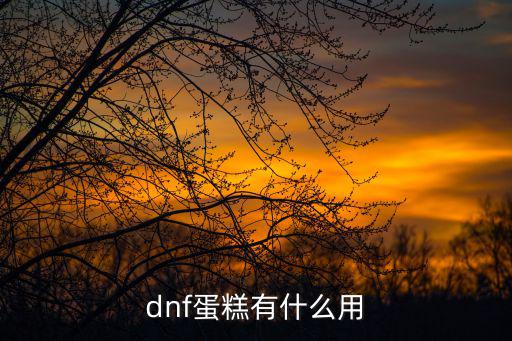 dnf蛋糕有什么用