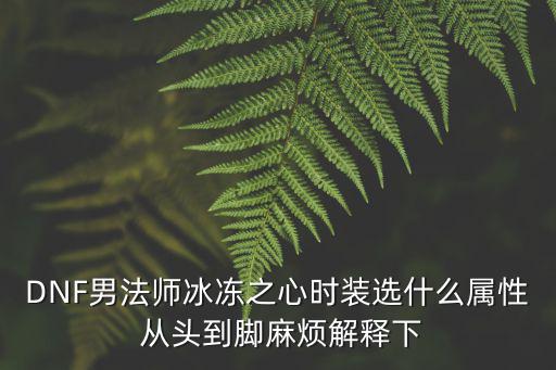 DNF男法师冰冻之心时装选什么属性 从头到脚麻烦解释下