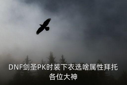 dnf剑圣下装选什么属性，DNF剑圣PK时装下衣选啥属性拜托各位大神