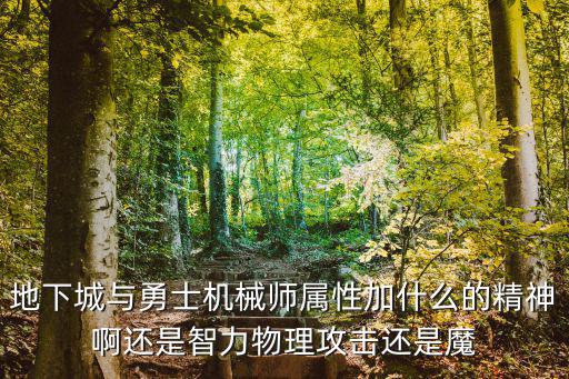 dnf机械师属性加什么，DNF机械师需要提升哪些属性