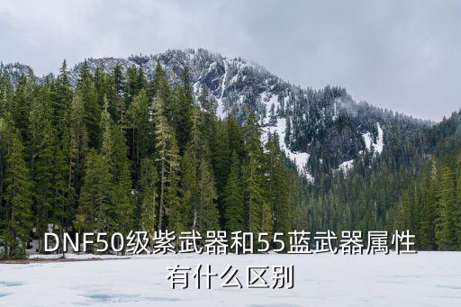 DNF50级紫武器和55蓝武器属性有什么区别