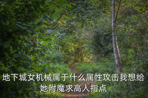 地下城女机械属于什么属性攻击我想给她附魔求高人指点