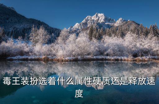 毒王装扮选着什么属性硬质还是释放速度