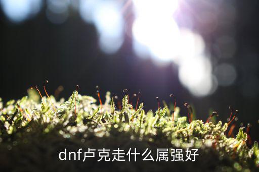 dnf打卢克用什么属性，dnf卢克走什么属强好