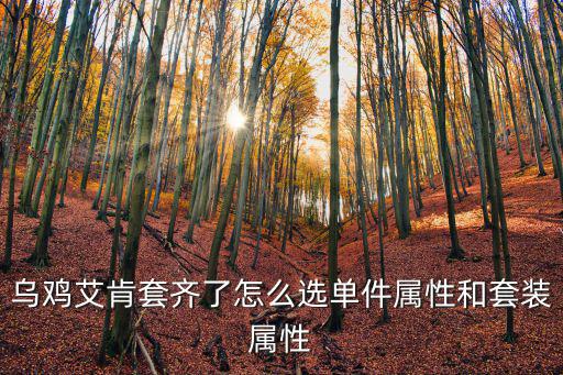 乌鸡艾肯套齐了怎么选单件属性和套装属性